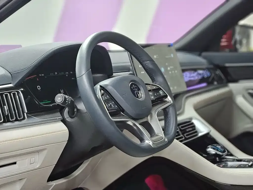 BYD PLUS New Energy 2021 из CN, фото 4