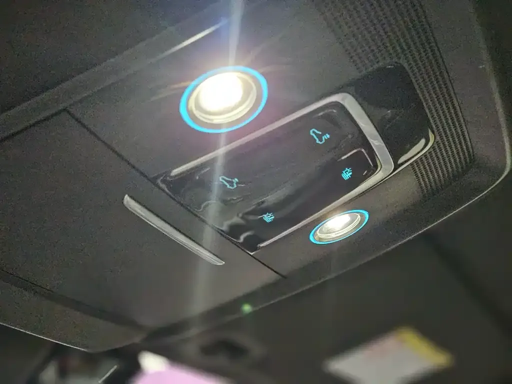 BYD PLUS New Energy 2021 из CN, фото 2