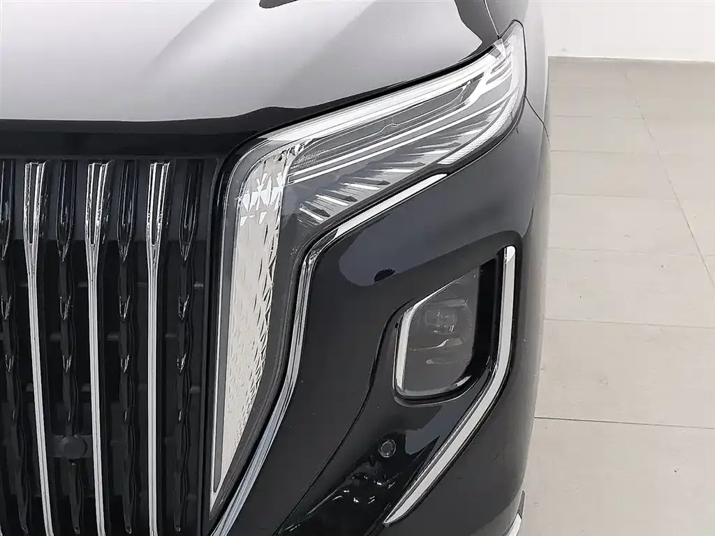 Hongqi HQ9 2023 из CN, фото 2