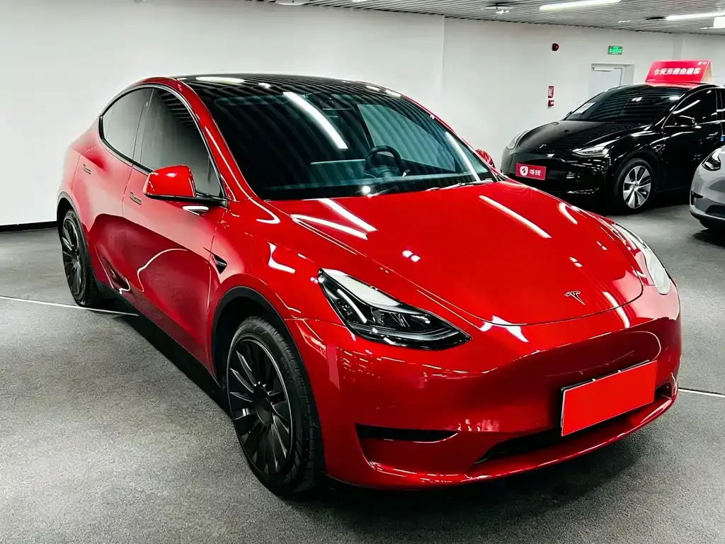 Tesla Model Y 2023 из CN, фото 2