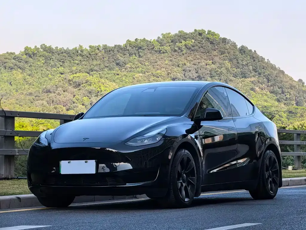 Tesla Model Y 2022 из CN, фото 1