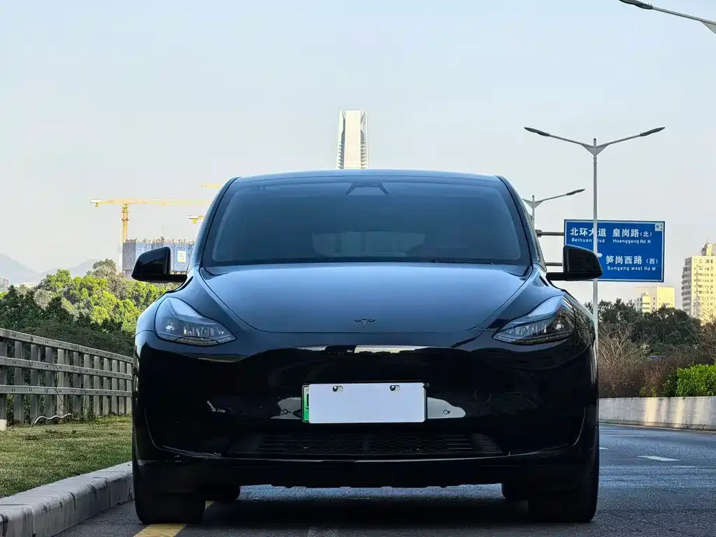 Tesla Model Y 2022 из CN, фото 4