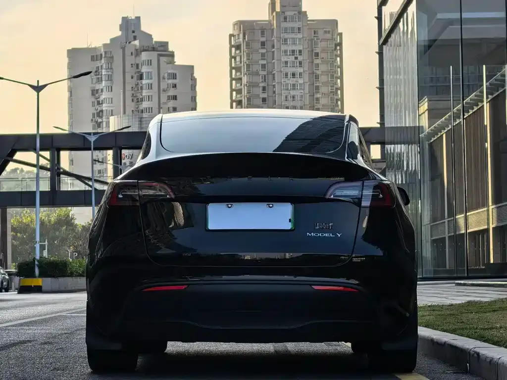 Tesla Model Y 2022 из CN, фото 5