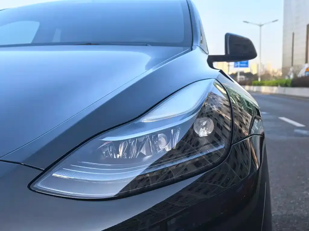 Tesla Model Y 2022 из CN, фото 6
