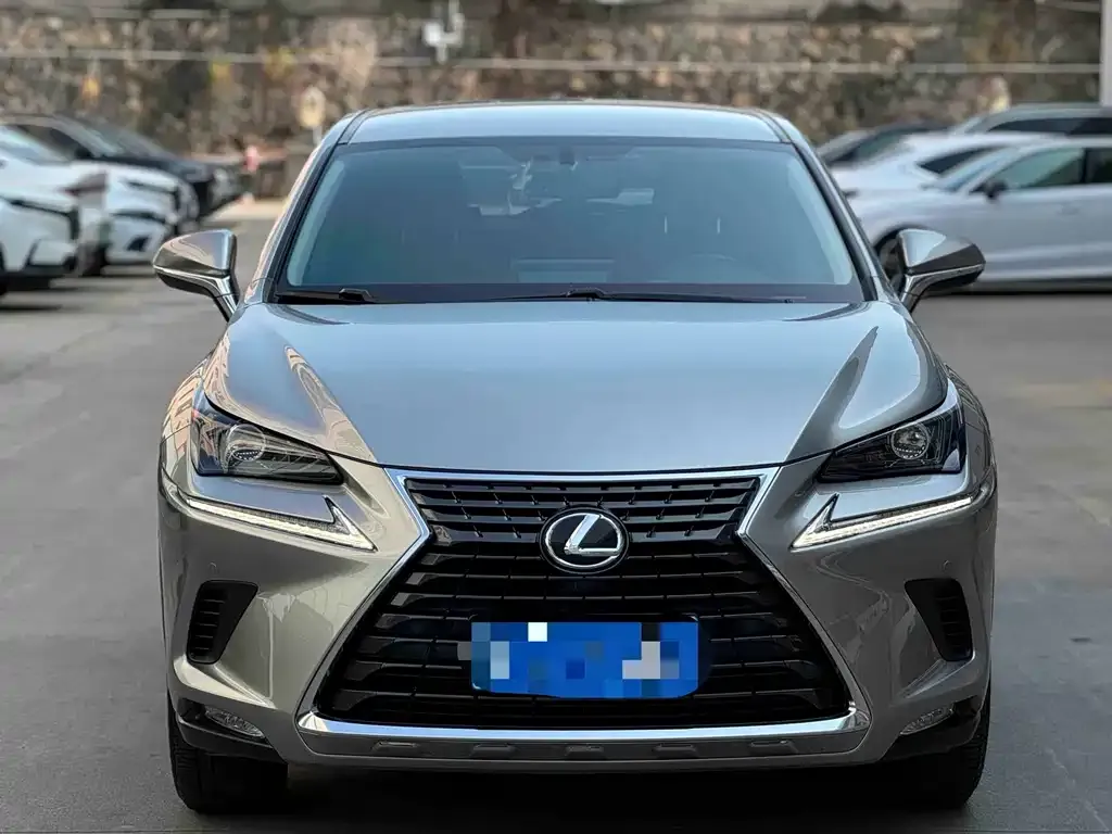 Lexus NX 2021 из CN, фото 2