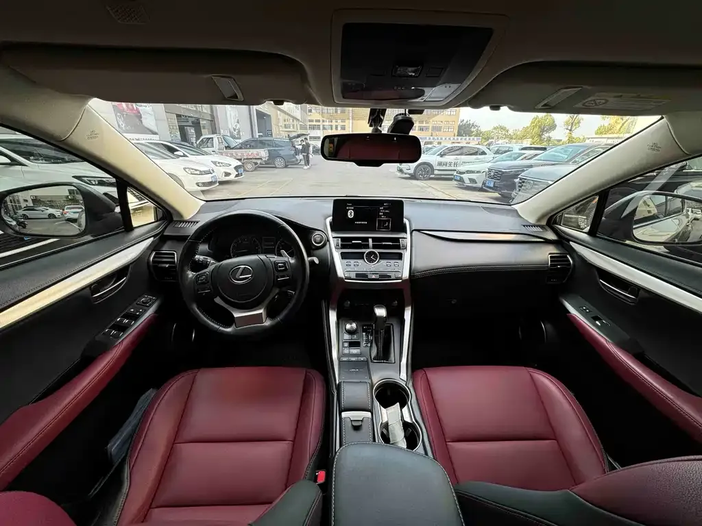 Lexus NX 2021 из CN, фото 5