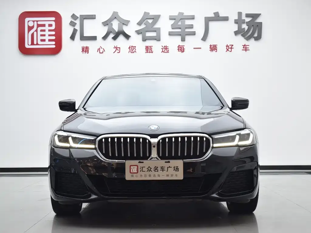 BMW 5 Series 2022 из CN, фото 3