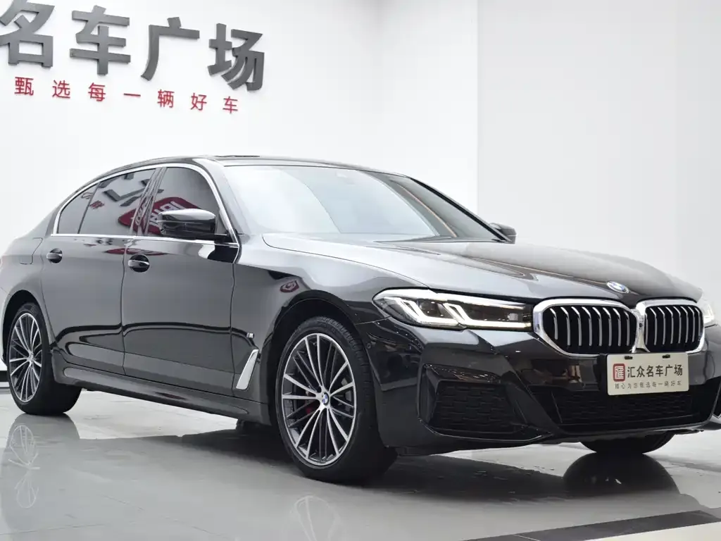 BMW 5 Series 2022 из CN, фото 5