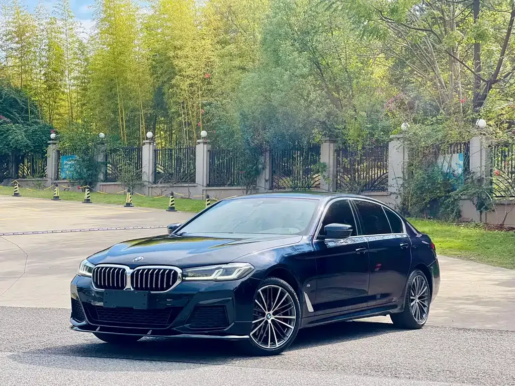 BMW 5 Series 2021 из CN, фото 1