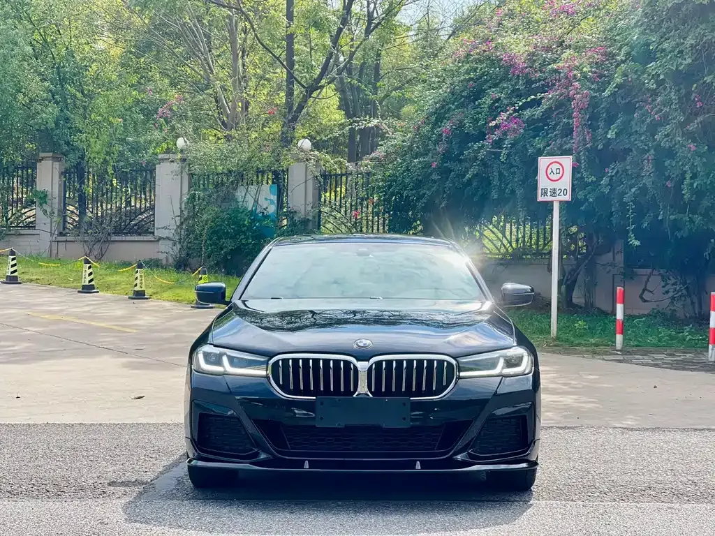 BMW 5 Series 2021 из CN, фото 4