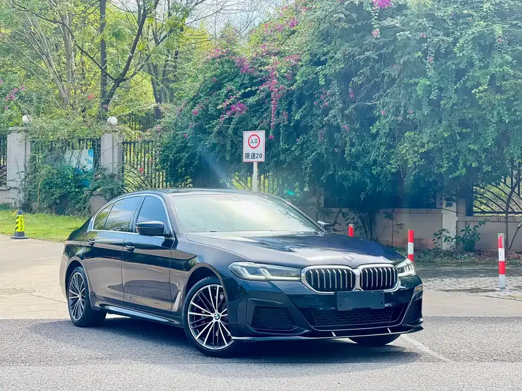 BMW 5 Series 2021 из CN, фото 9