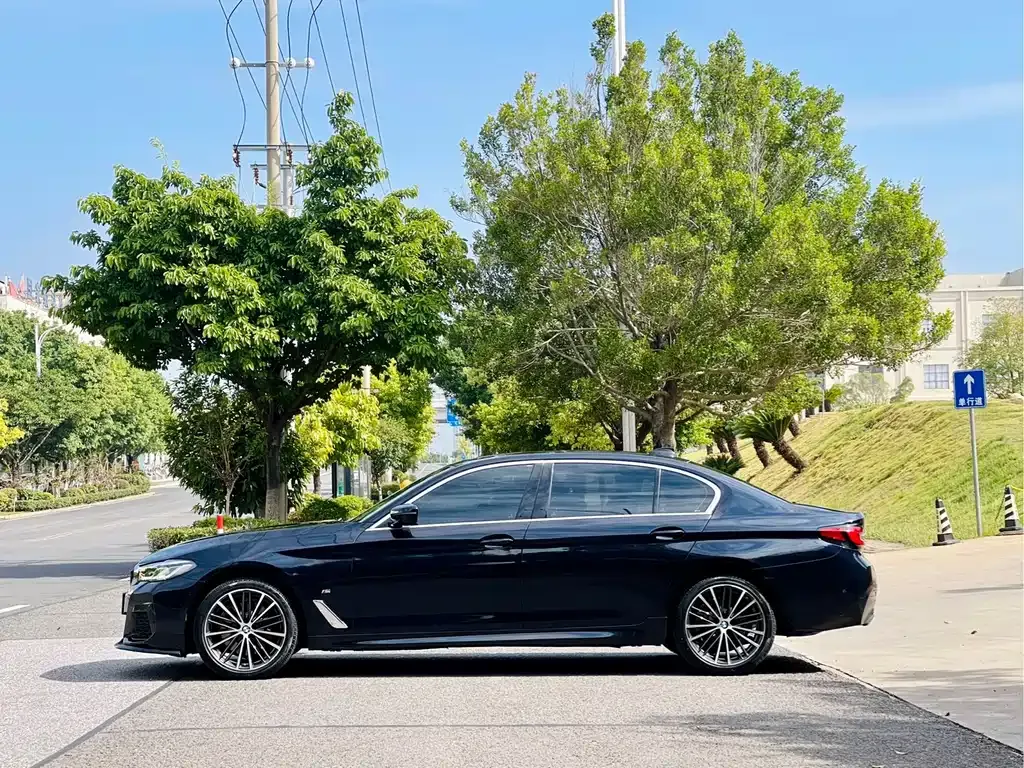 BMW 5 Series 2021 из CN, фото 8