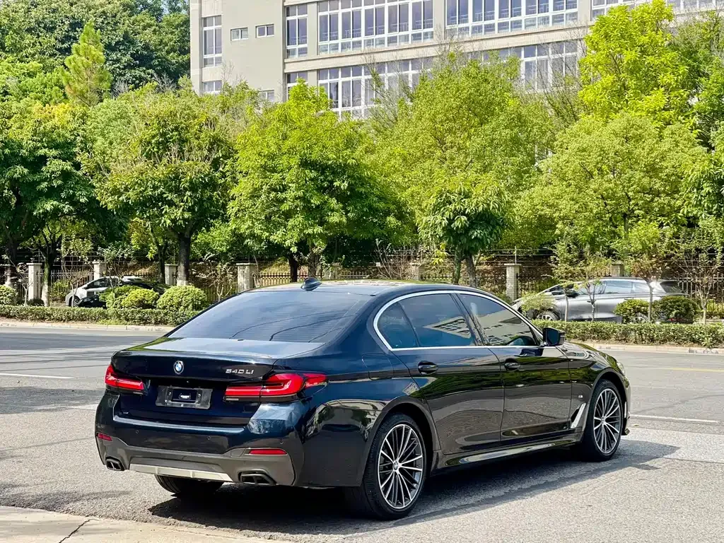 BMW 5 Series 2021 из CN, фото 6