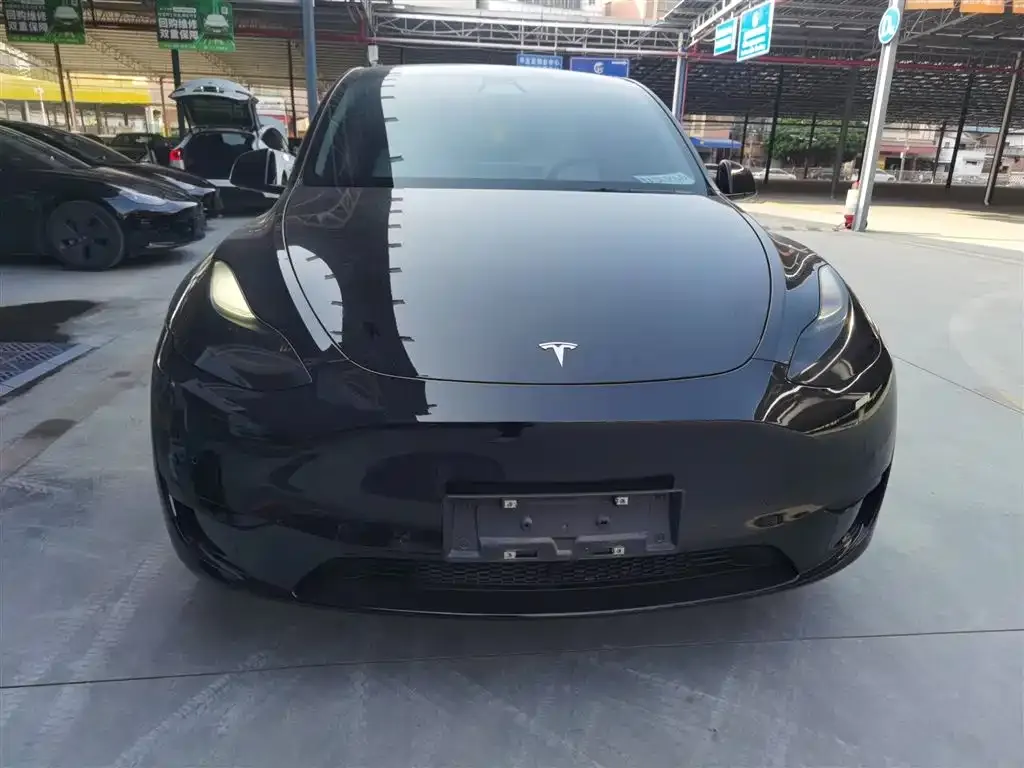 Tesla Model Y 2022 из CN, фото 3