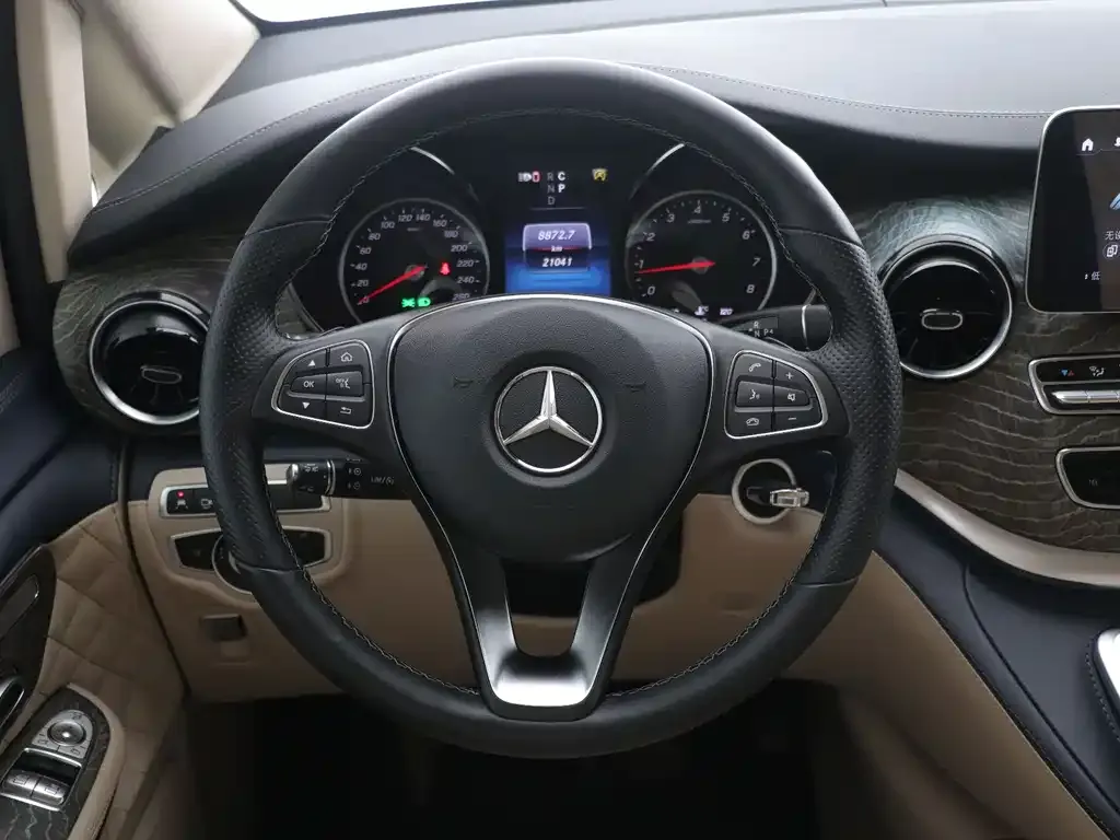 Mercedes-Benz V-Class 2021 из CN, фото 6
