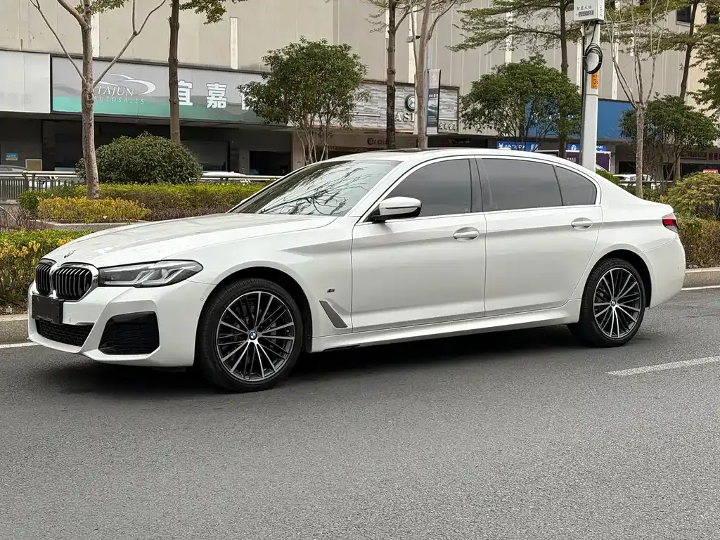BMW 5 Series 2023 из CN, фото 1