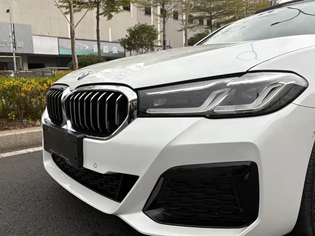 BMW 5 Series 2023 из CN, фото 8