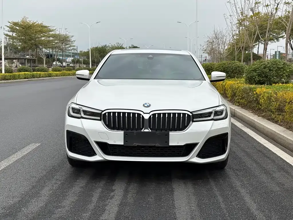 BMW 5 Series 2023 из CN, фото 5