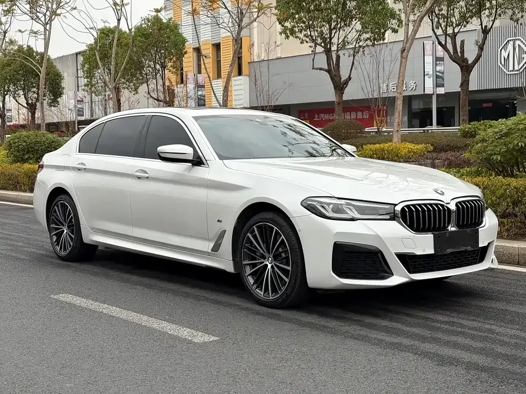 BMW 5 Series 2023 из CN, фото 9