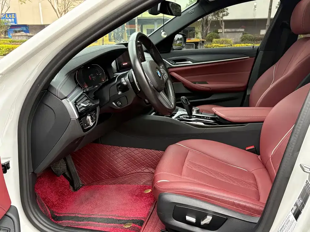 BMW 5 Series 2023 из CN, фото 3