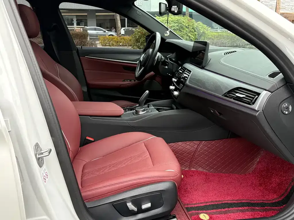 BMW 5 Series 2023 из CN, фото 10
