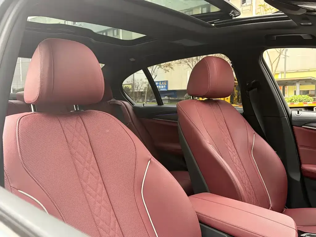 BMW 5 Series 2023 из CN, фото 6