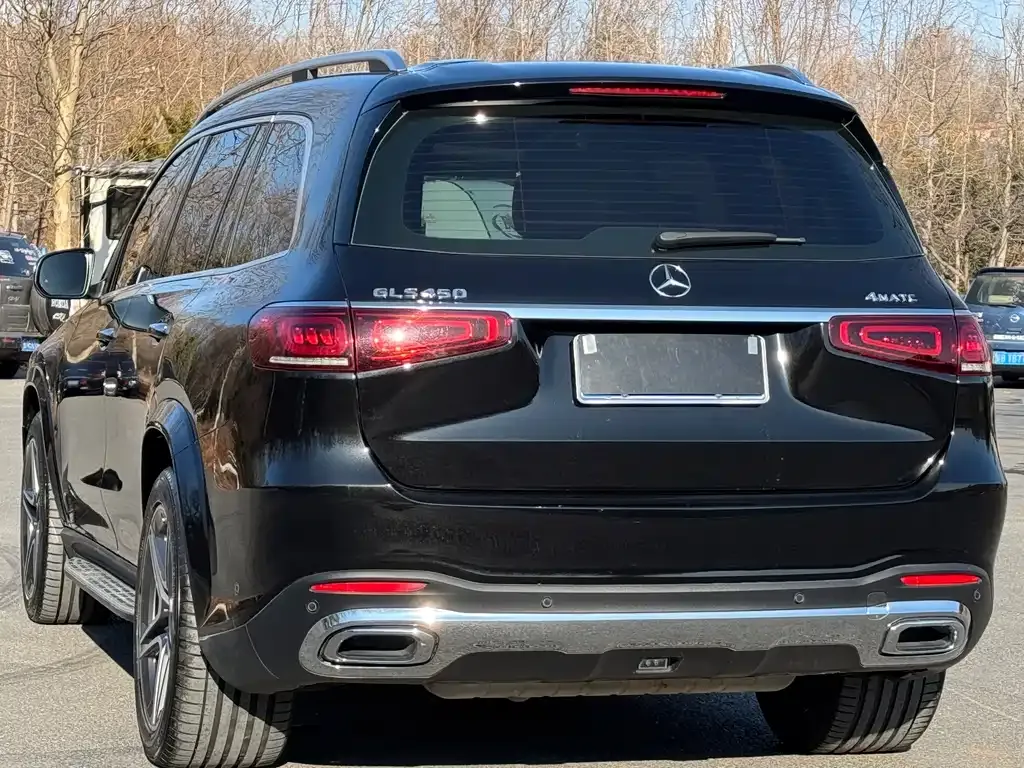 Mercedes-Benz GLS 2021 из CN, фото 9
