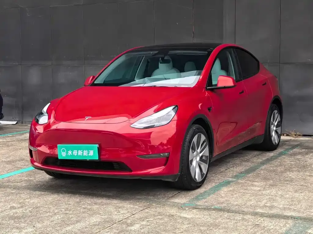 Tesla Model Y 2021 из CN, фото 1