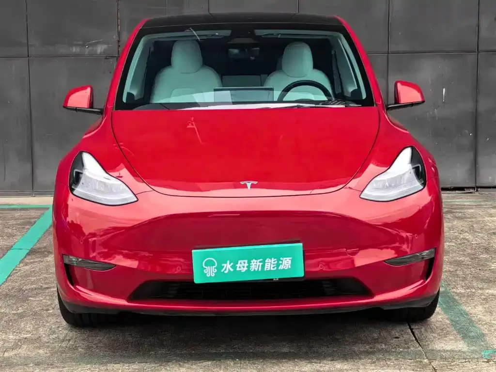 Tesla Model Y 2021 из CN, фото 9