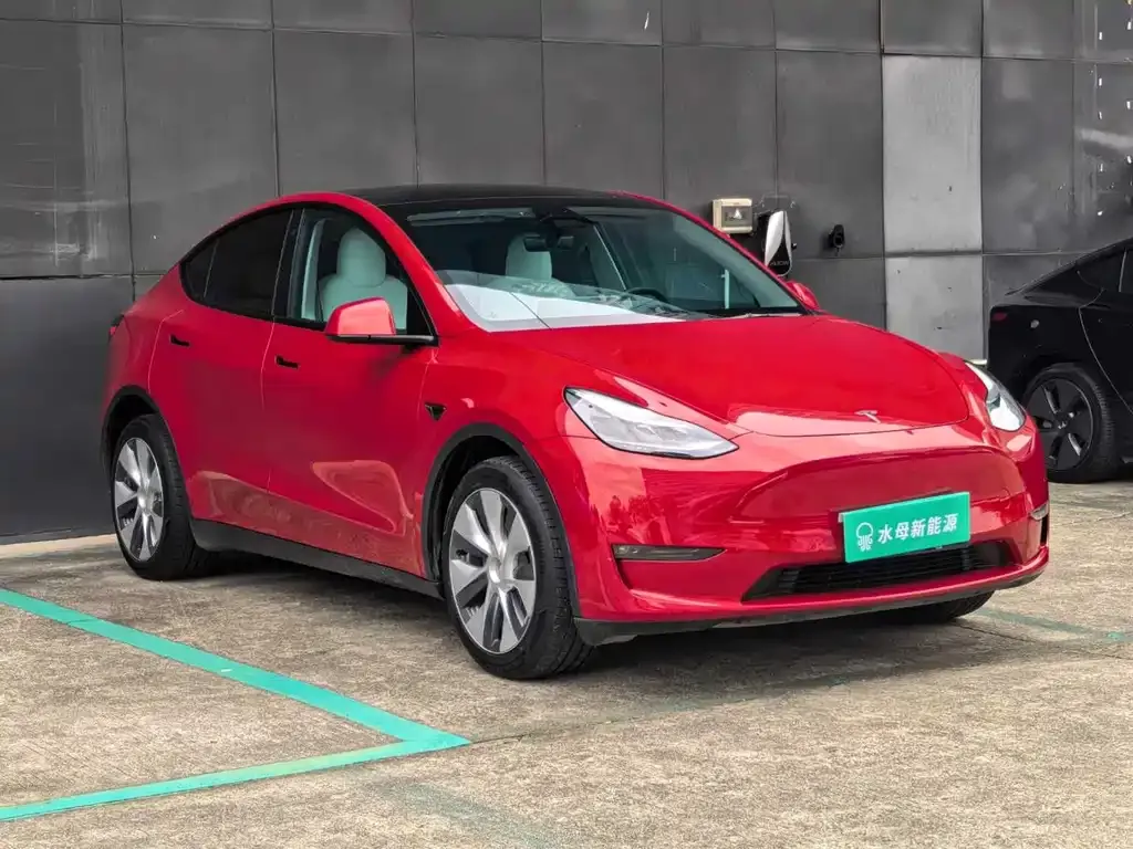Tesla Model Y 2021 из CN, фото 8