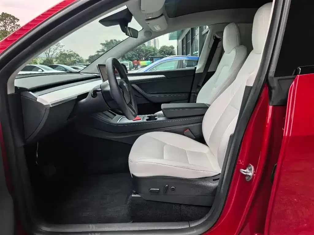 Tesla Model Y 2021 из CN, фото 5