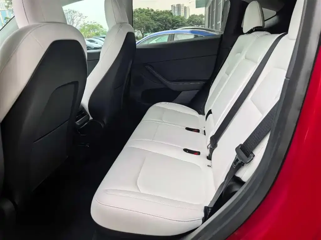 Tesla Model Y 2021 из CN, фото 2