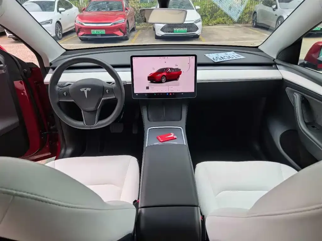 Tesla Model Y 2021 из CN, фото 3