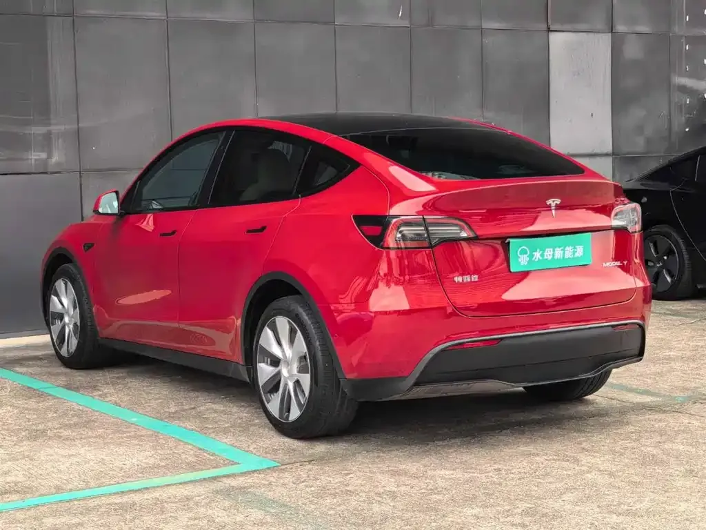 Tesla Model Y 2021 из CN, фото 7