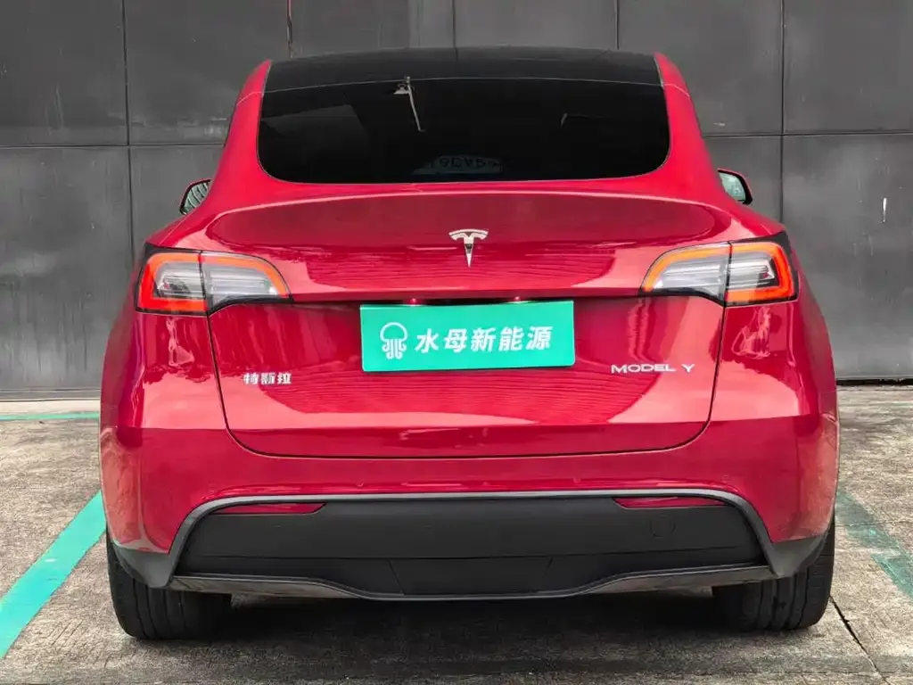 Tesla Model Y 2021 из CN, фото 6