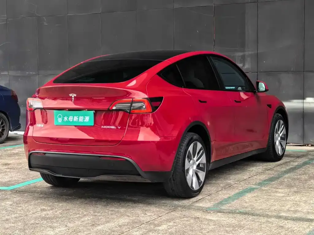 Tesla Model Y 2021 из CN, фото 4