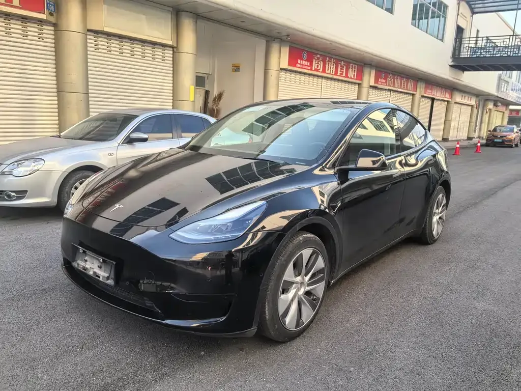 Tesla Model Y 2022 из CN, фото 1