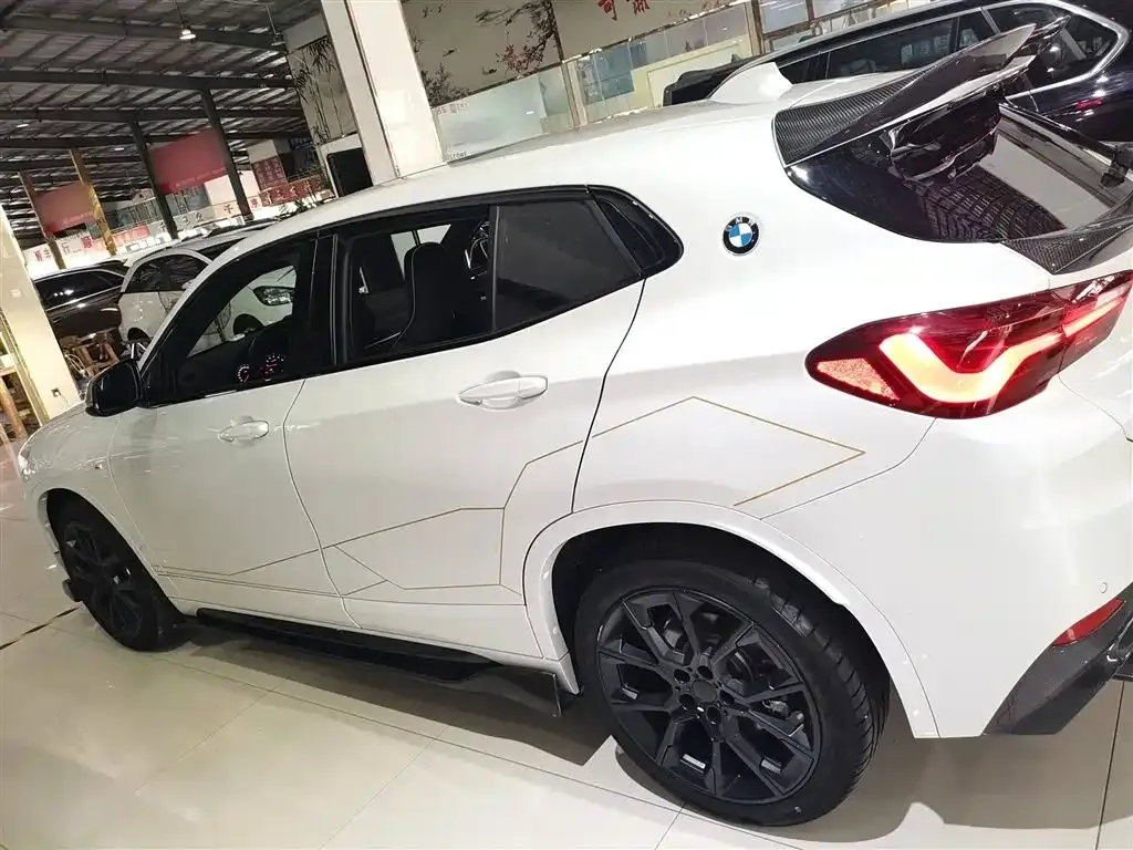 BMW X2 2023 из CN, фото 5