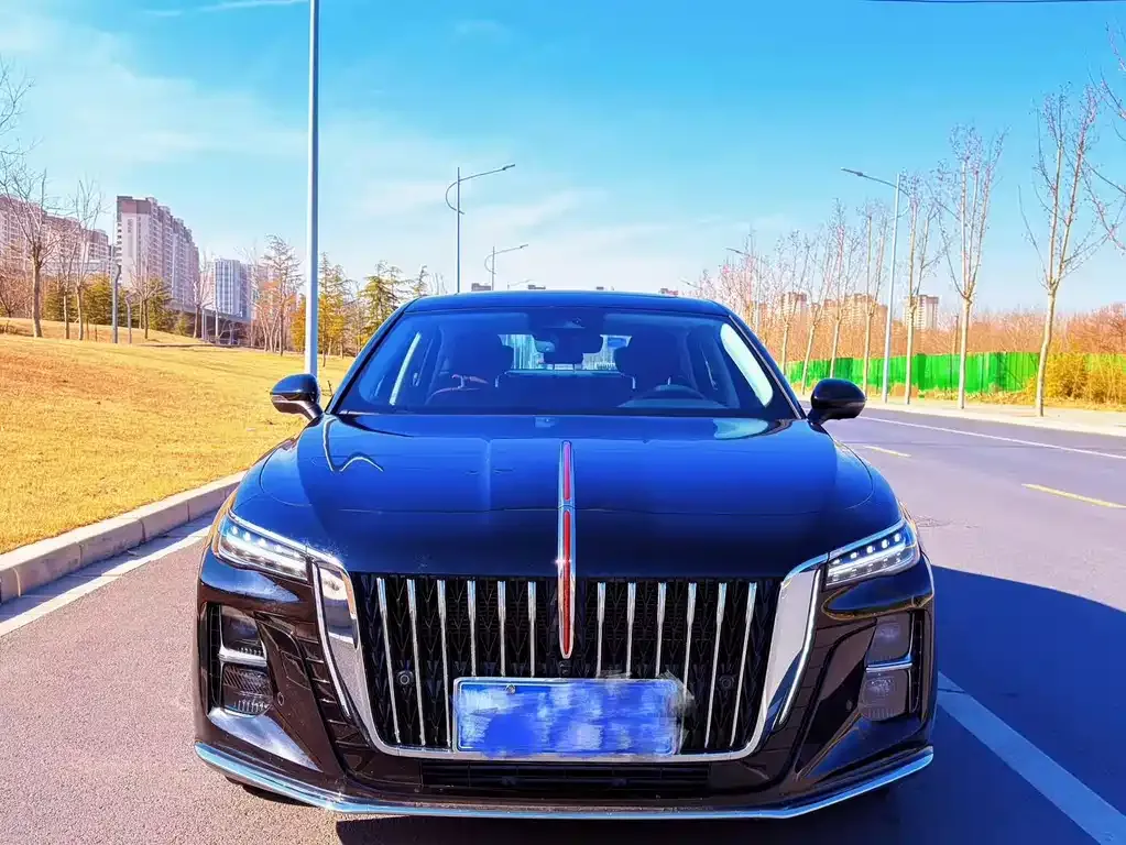 Hongqi H5 2025 из CN, фото 3
