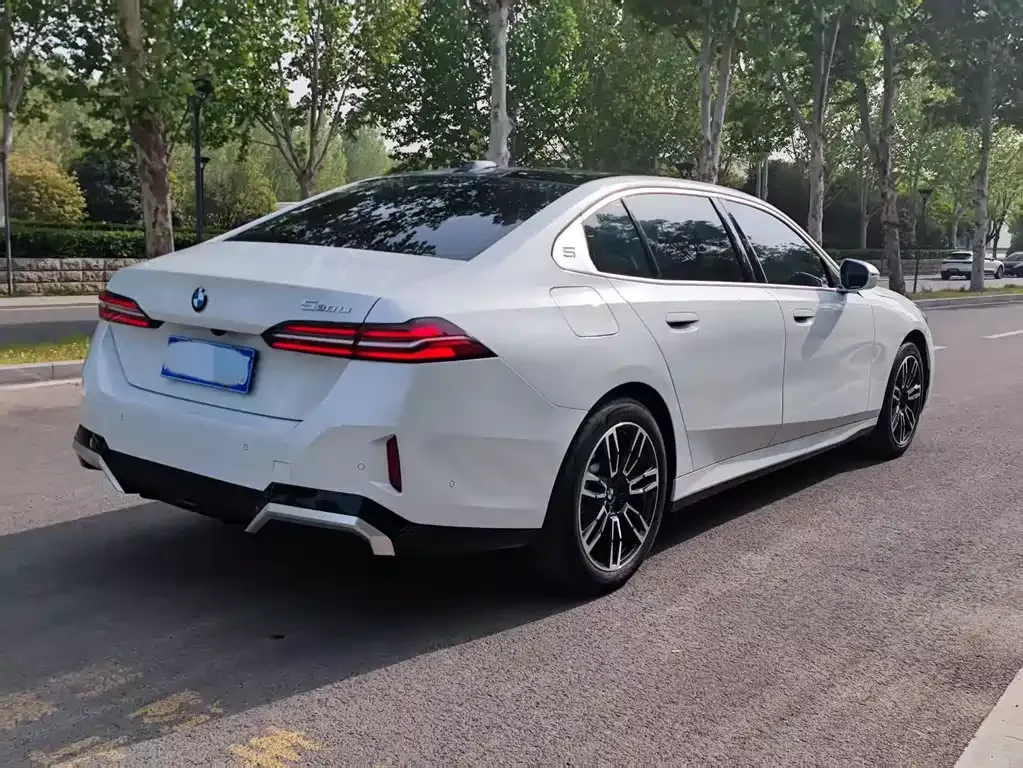 BMW 5 Series 2024 из CN, фото 9