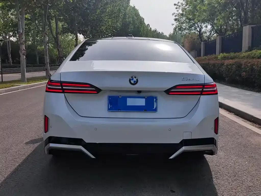 BMW 5 Series 2024 из CN, фото 6
