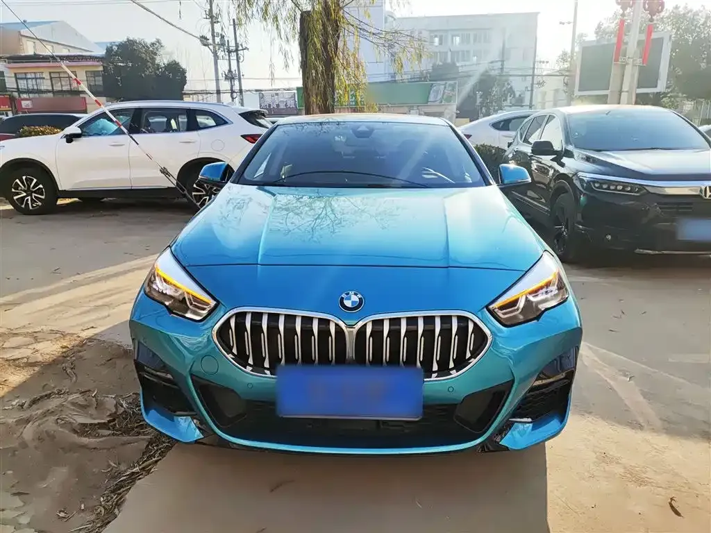 BMW 2 Series (Import) 2022 из CN, фото 3