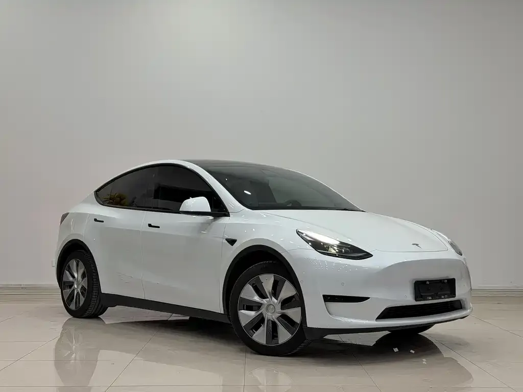 Tesla Model Y 2023 из CN, фото 1
