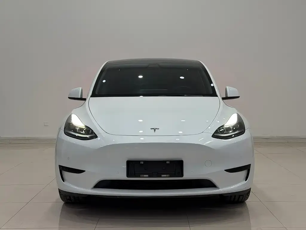 Tesla Model Y 2023 из CN, фото 5