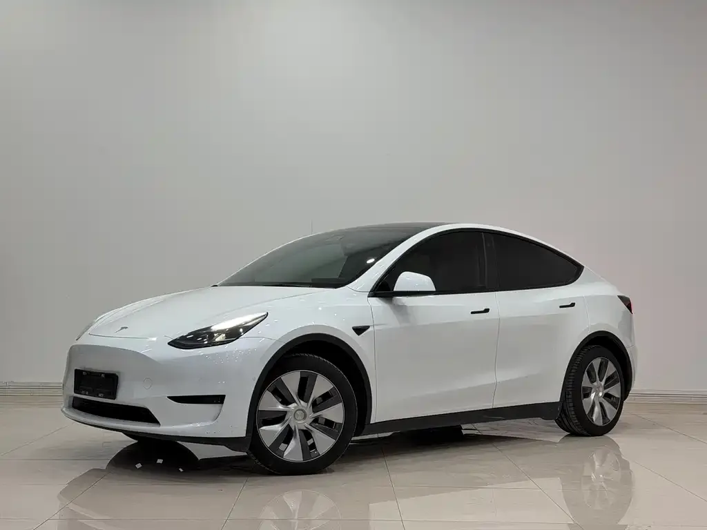 Tesla Model Y 2023 из CN, фото 8