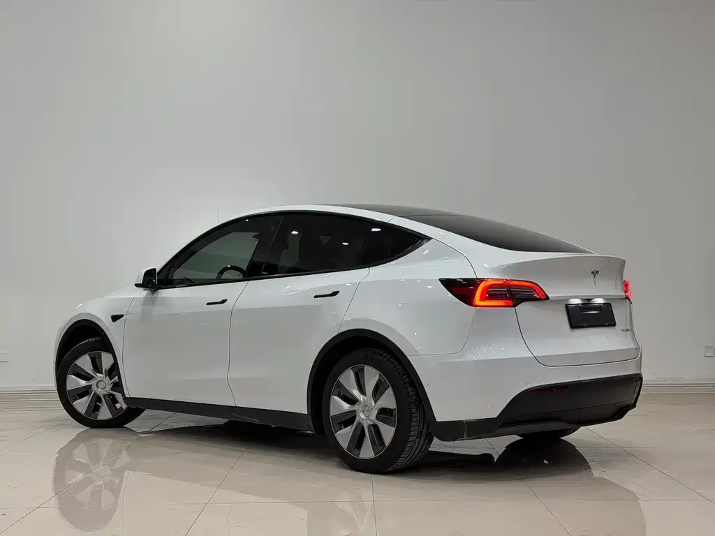 Tesla Model Y 2023 из CN, фото 2