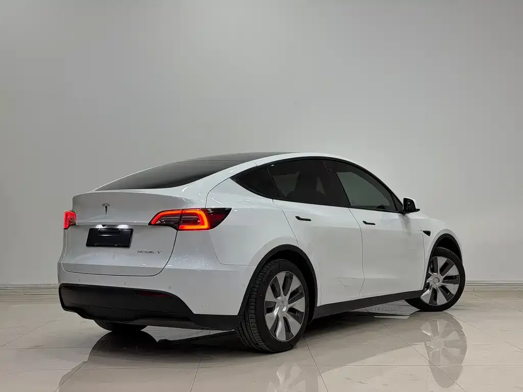 Tesla Model Y 2023 из CN, фото 4