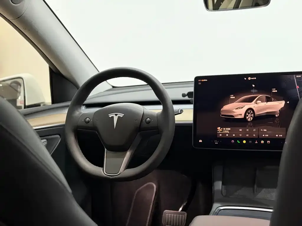 Tesla Model Y 2023 из CN, фото 7