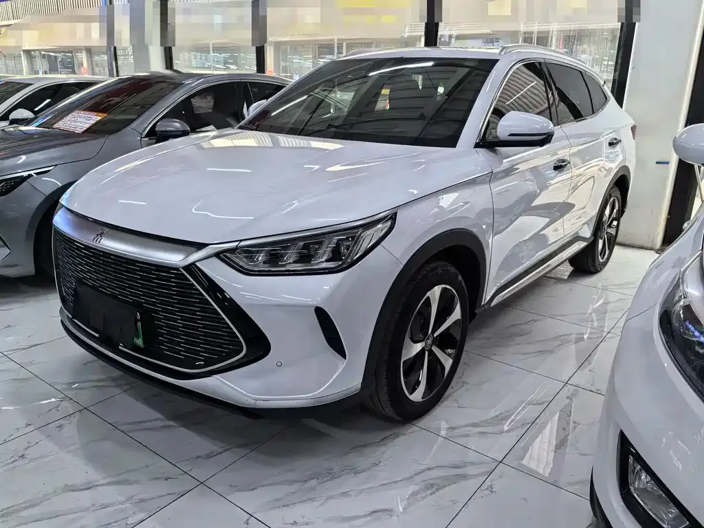 BYD PLUS New Energy — фото 1