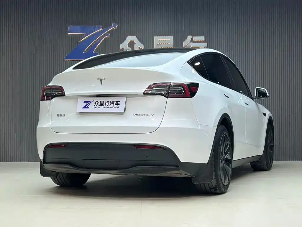 Tesla Model Y 2024 из CN, фото 5